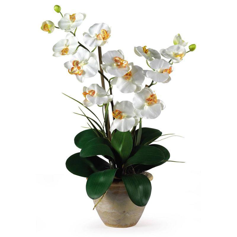 Multicolor 25" Double Stem Phalaenopsis Silk Orchid in Ceramic Vase