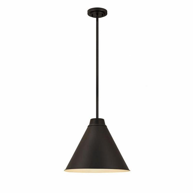 Z-Lite Eaton 1 - Light Pendant in  Matte Black