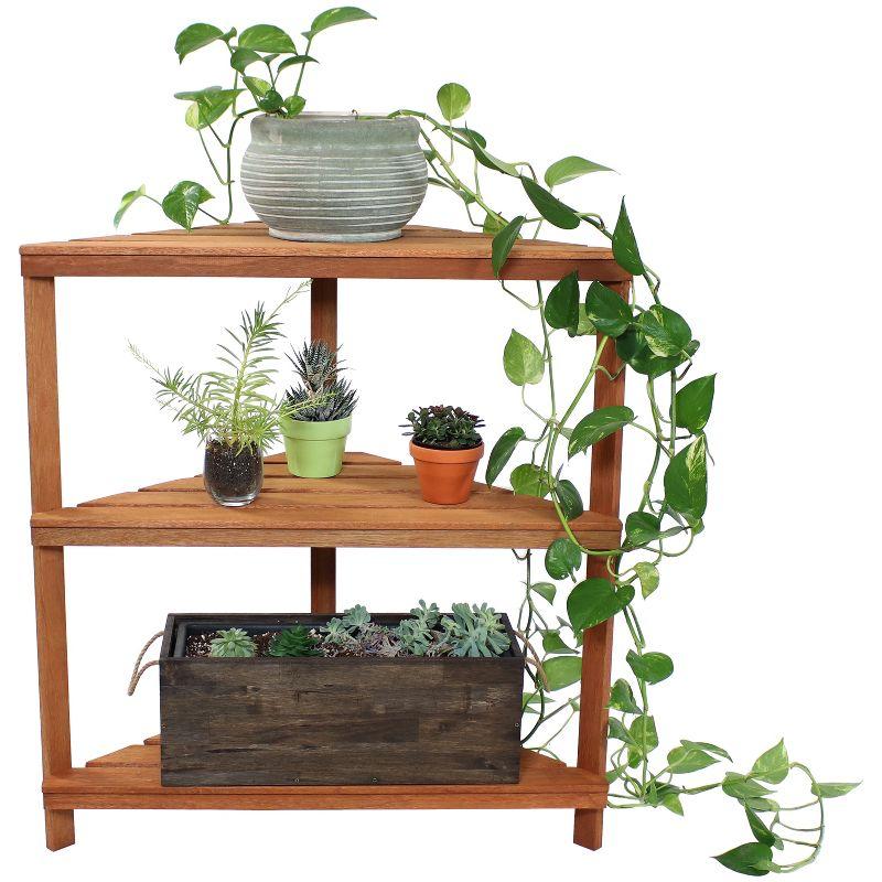 Sunnydaze Indoor/Outdoor Meranti Wood with Teak Oil Finish 3-Tiered Corner Flower Plant Stand Shelf Display - 36" - Brown