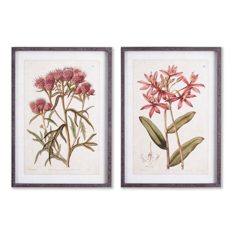 Plum & Post Pretty In Pink Vintage Prints, Set Of 2