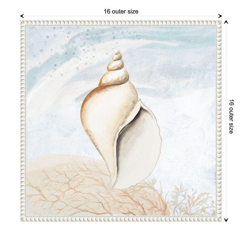 Amanti Art Ocean Oasis Tropical Seashell I by Patricia Pinto Canvas Wall Art Print Framed 16 x 16-in.