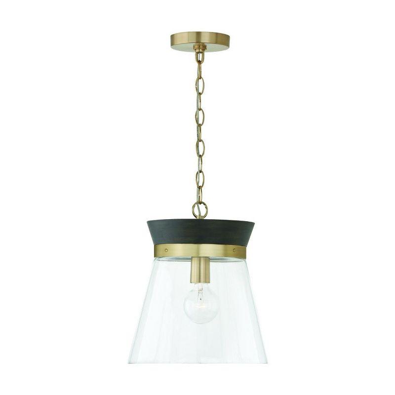 Capital Lighting Finn 1 - Light Pendant in  Black Stain/Matte Brass