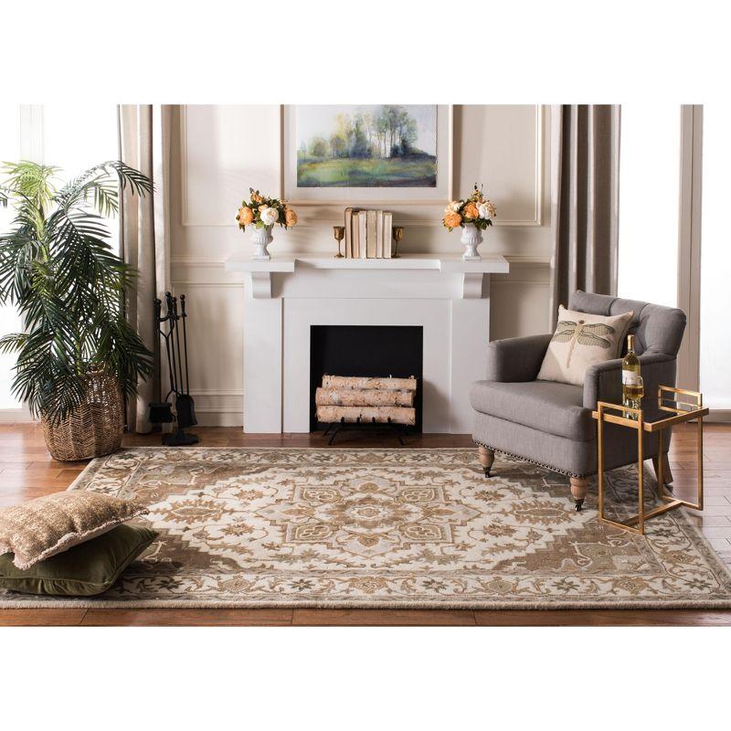Royalty ROY700 Hand Tufted Indoor Accent Rug - 4'x6' - Beige/Sage - Safavieh