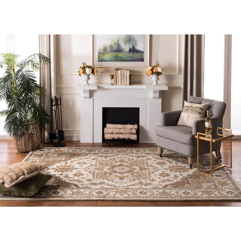 Royalty ROY700 Hand Tufted Area Rug  - Safavieh