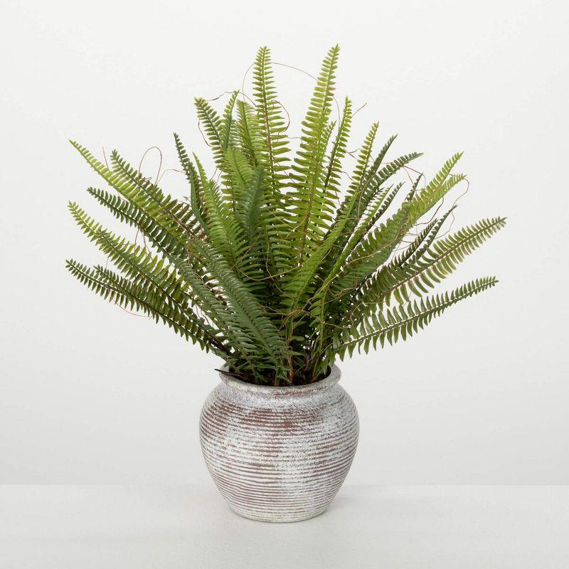 Ophelia & Co. Artificial Rustic Potted Fern Bush 16"H; Green