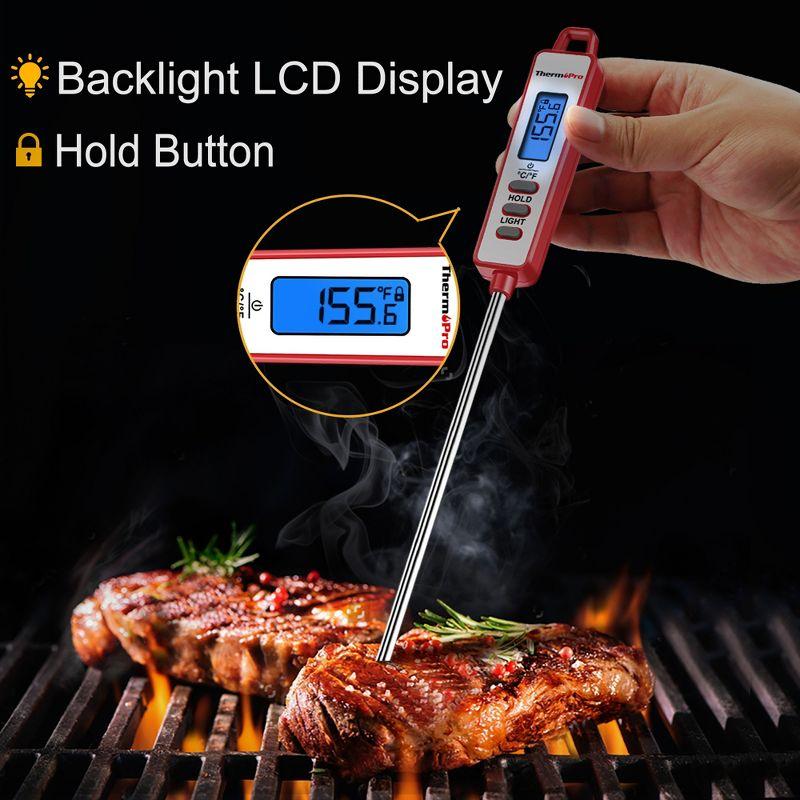 ThermoPro Thermometer