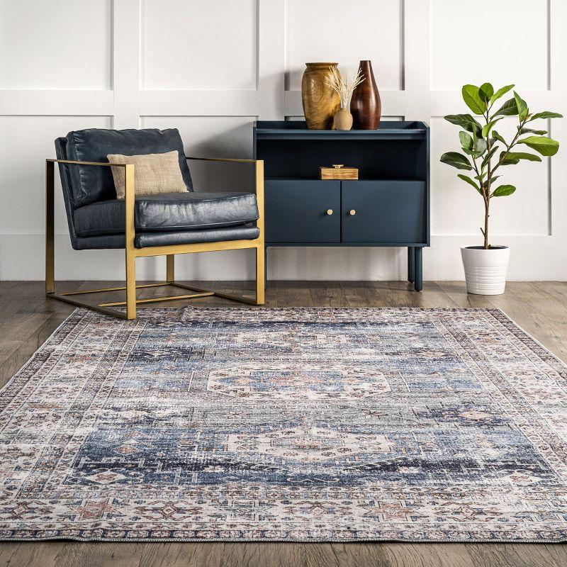 Nuloom Drina Distressed Machine Washable Indoor Area Rug