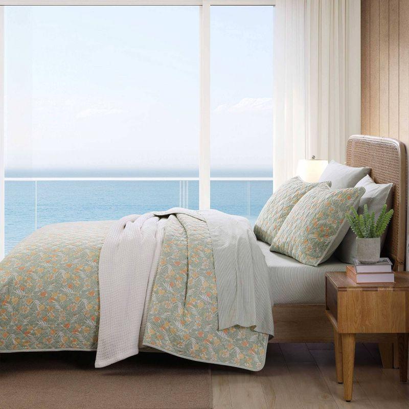 Tommy Bahama Pineapple Bloom Cotton Reversible Green Quilt Set