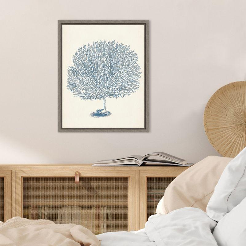 Amanti Art Antique Coral Collection I by Vision Studio Canvas Wall Art Print Framed 16 x 20-in.