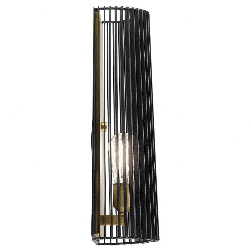 Black Steel Cage Wall Sconce with Brass Accent