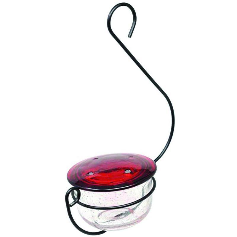 Backyard Essentials Clear Bubble Glass Hanging Hummingbird Feeder - 6 oz