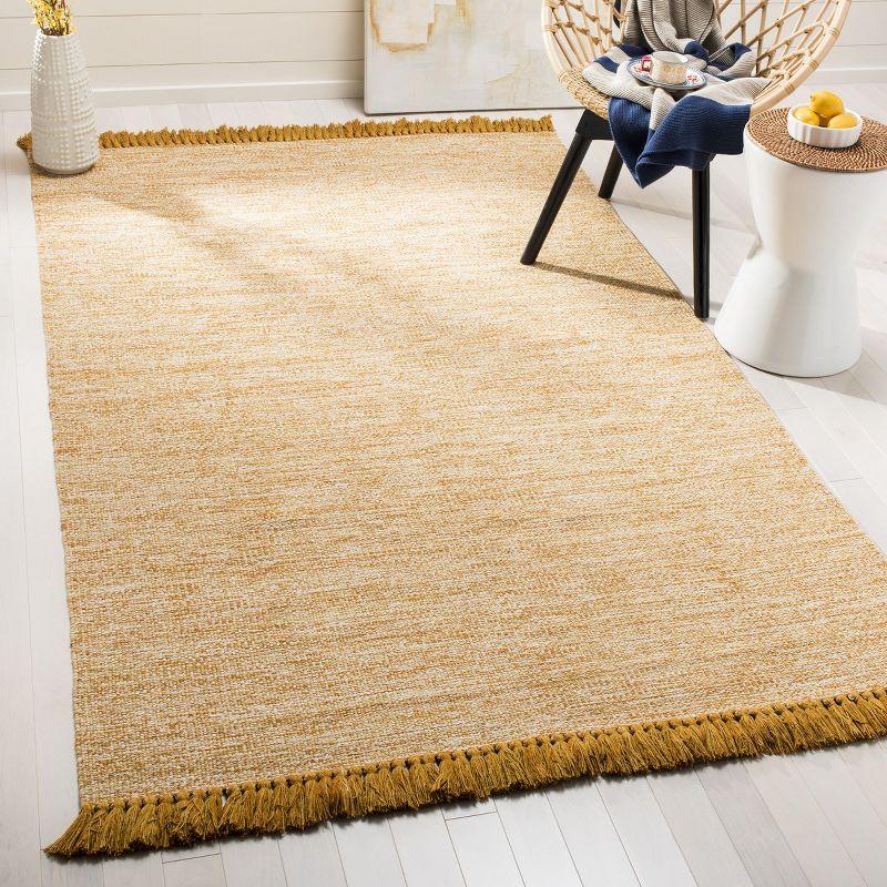 Montauk MTK610 Hand Woven Indoor Rug - Safavieh