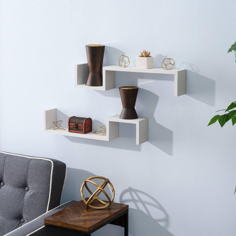 (Set of 2) 22.5" x 4.7" Floating Wall Shelving Set - Danya B.