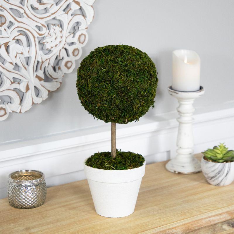 Northlight Seasonal Green Reindeer Moss Ball Potted Artificial Spring Topiary Tree