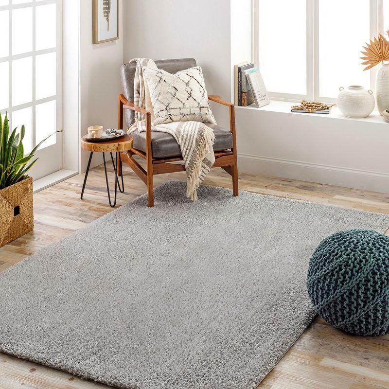 Gray Rectangular Synthetic Shag Area Rug 5'3" x 7'