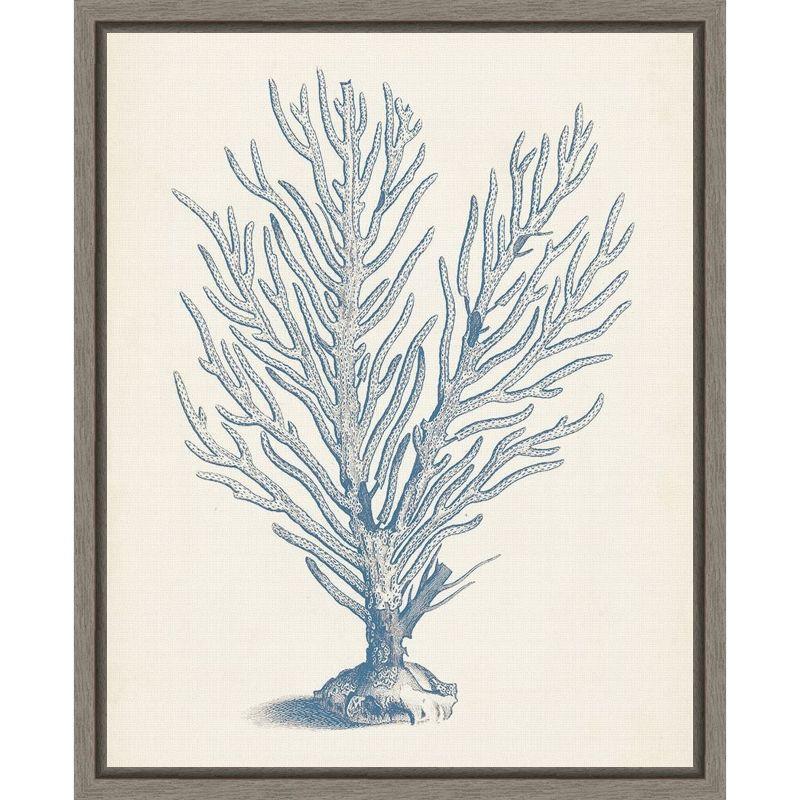 Antique Blue Coral Print on Canvas with Frame, 16 x 20 inches