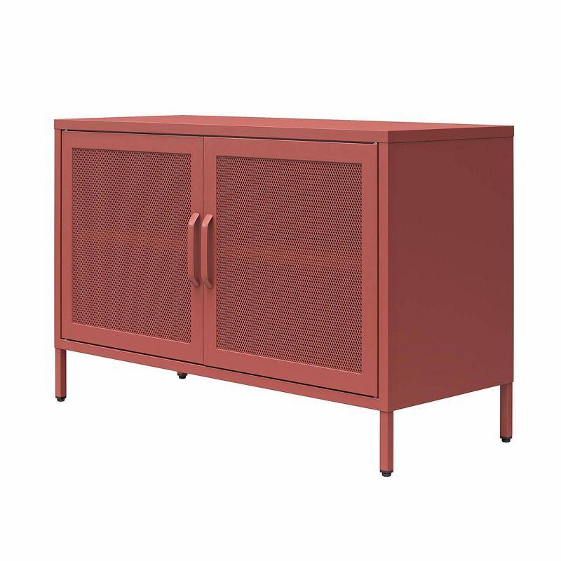 Channing 25.2" Tall Steel 2 - Door Accent Cabinet