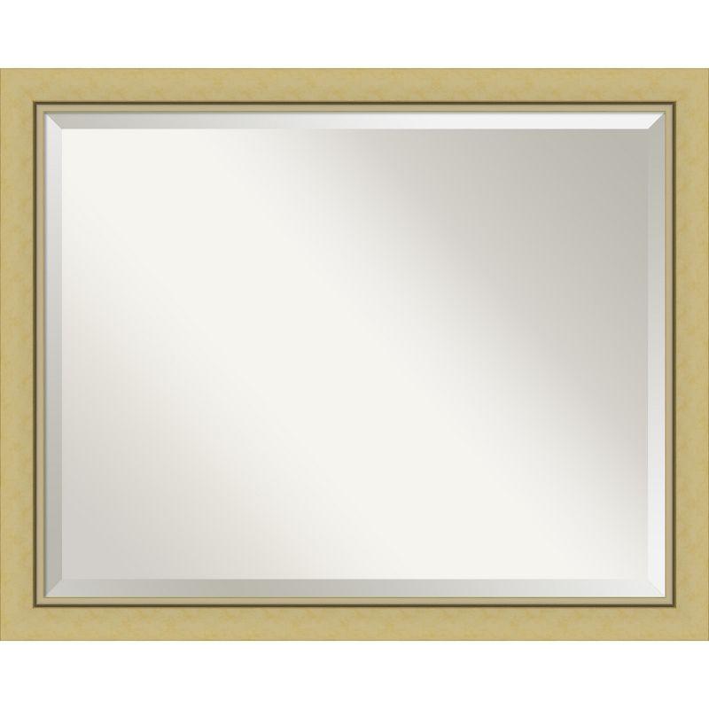 Landon Gold Narrow Framed Decorative Wall Mirror