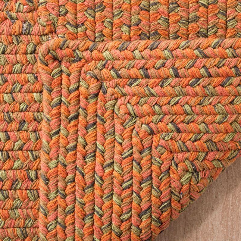 Braided BRD166 Hand Woven Indoor Area Rug - Multi - 8'x10' - Safavieh