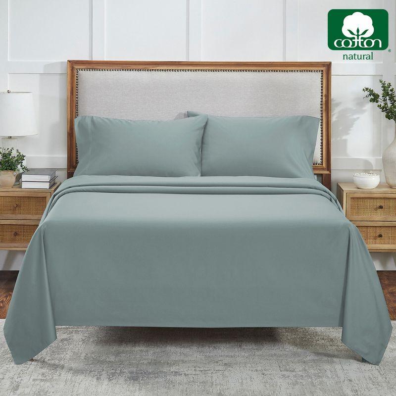 Luxury Bed Sheets Set -  800 Thread Count 100% Cotton Sheets, Deep Pocket, Soft, Cool & Breathable by California Design Den - Soft Teal, King