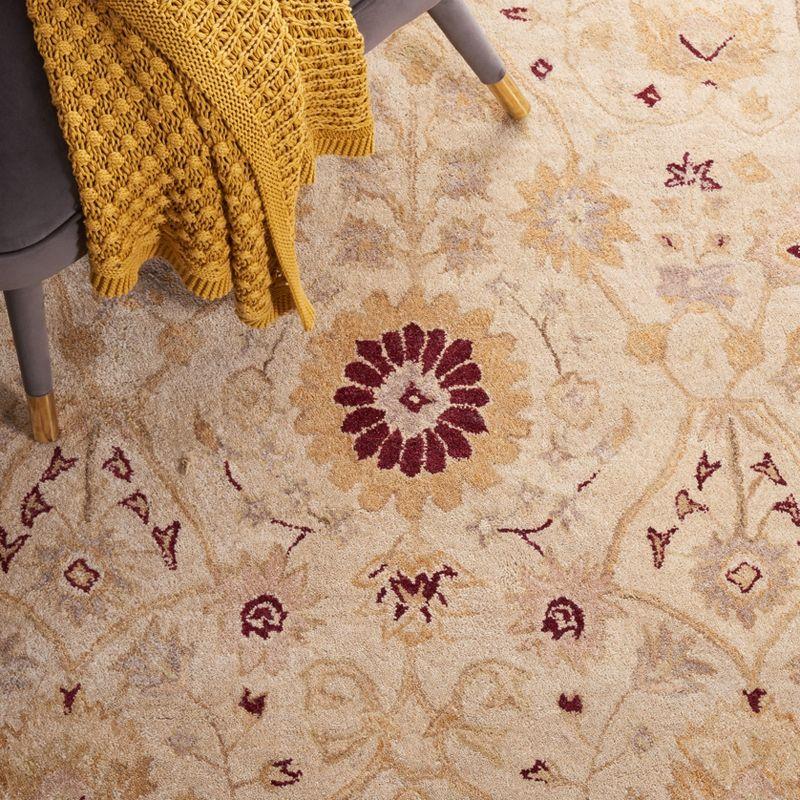 Anatolia AN550 Hand Tufted Area Rug - Sand/Walnut - 3'x5' - Safavieh.