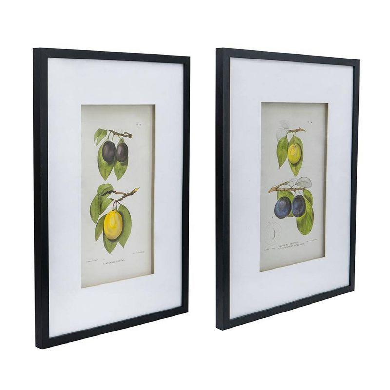 Set of 2 Smithsonian Fruit Framed Wall Arts - A&B Home: Transitional Decor, Vertical Orientation, Includes Mounting Hardware