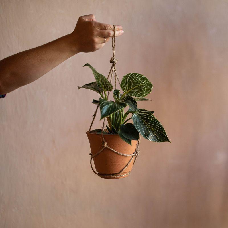 Hanging Terracotta Terracotta & Jute Planter - Foreside Home & Garden