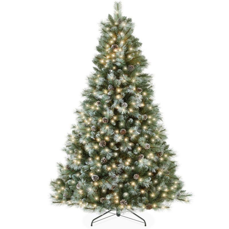 9ft Frosted Scotch Pine Christmas Tree with Multicolor LED Lights