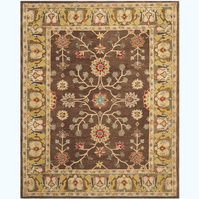Anatolia AN562 Hand Tufted Indoor Area Rug - Brown/Gold - 9'x12' - Safavieh