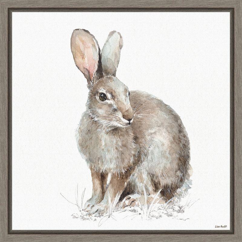 Lisa Audit Framed Canvas Print of Rabbit in Forest