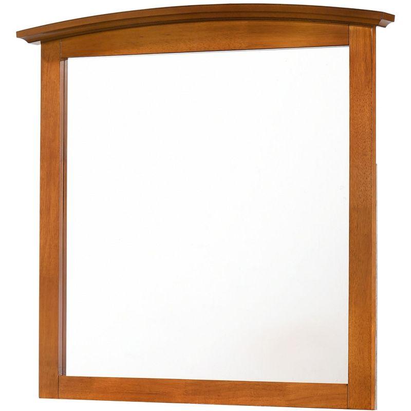 Passion Furniture 37 in. x 35 in. Classic Rectangle Framed Dresser Mirror