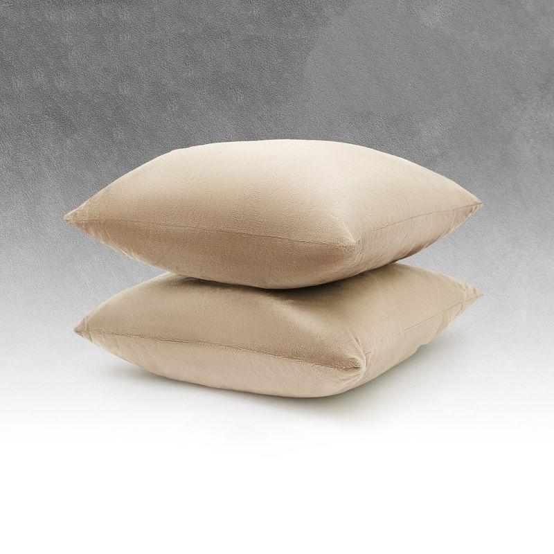 Cheer Collection Throw Pillow (Set of 2)