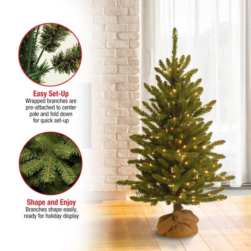 4' Pre-lit Kensington Artificial Christmas Tree in Burlap Base Clear Lights - National Tree Company