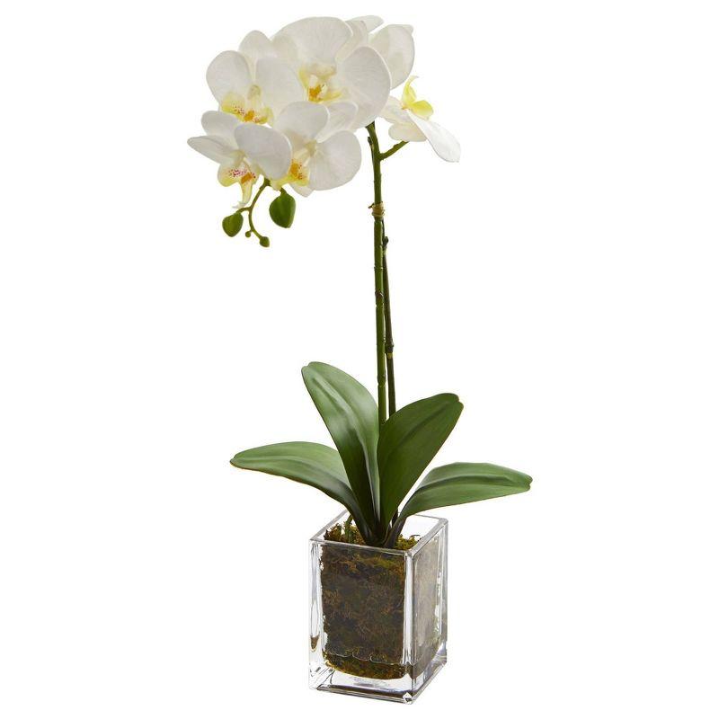 Elegant White Orchid Phalaenopsis 24" Artificial Arrangement in Glass Vase