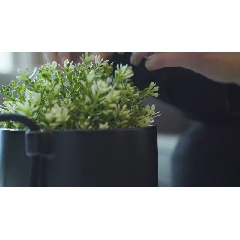 Juno Hanging Planter Pot