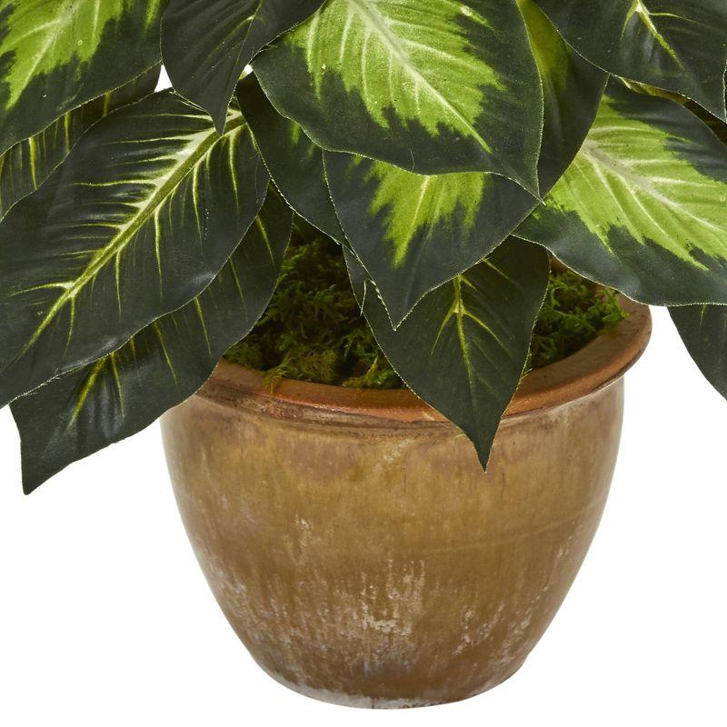 Nearly Natural 18" x 16" Artificial Dieffenbachia Plant in Ceramic Planter: Indoor Faux Greenery Decor, Polyester & Wire