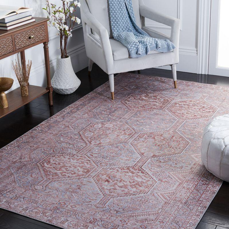 Gray and Rust Hand-Knotted Washable Synthetic Area Rug