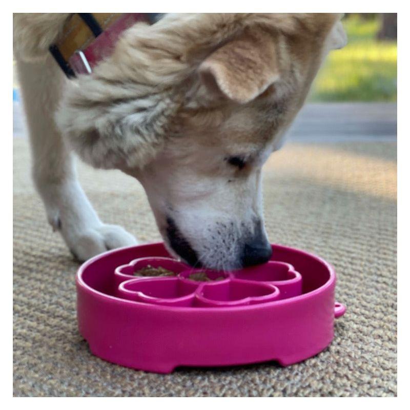 Purple Flower Design Slow Feeder Dog Bowl