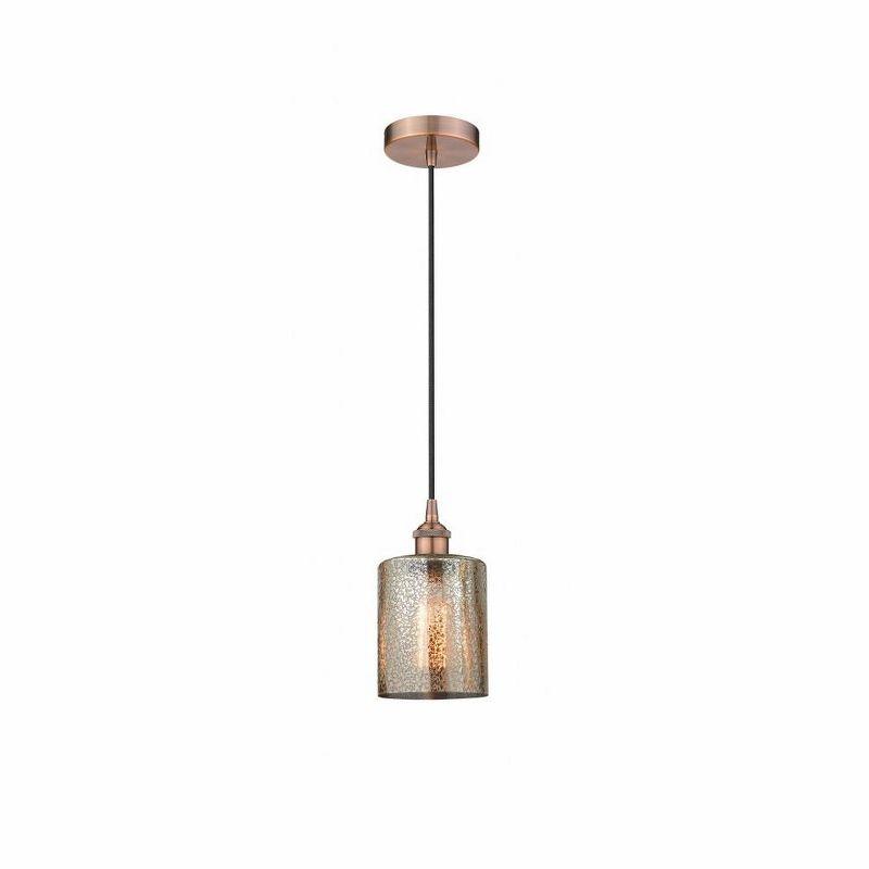 Cobbleskill 1 - Light Single Drop Pendant Pendant