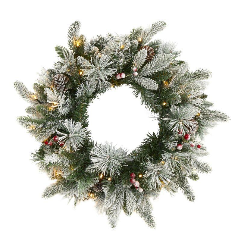 20" Flocked Pine Artificial Christmas Wreath with LED Lights