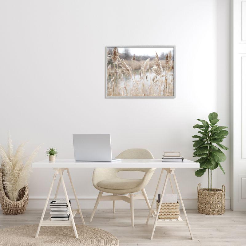 " Rural Pampas Grass Reeds Lakeside Pond Marsh " by Kim Allen