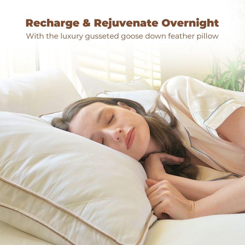 The Twillery Co.® Down Blend Medium Pillow (Set of 2)