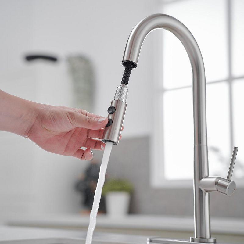 VIBRANTBATH Pull Out Kitchen Faucet