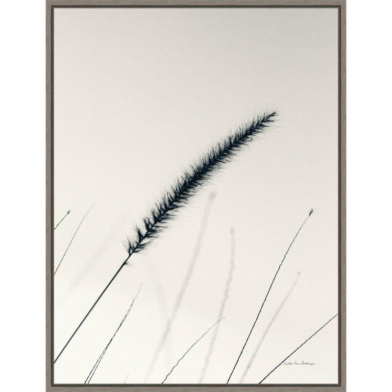 18" x 24" Field Grasses V by Debra Van Swearingen Framed Wall Canvas - Amanti Art: Modern Nature-Inspired Decor