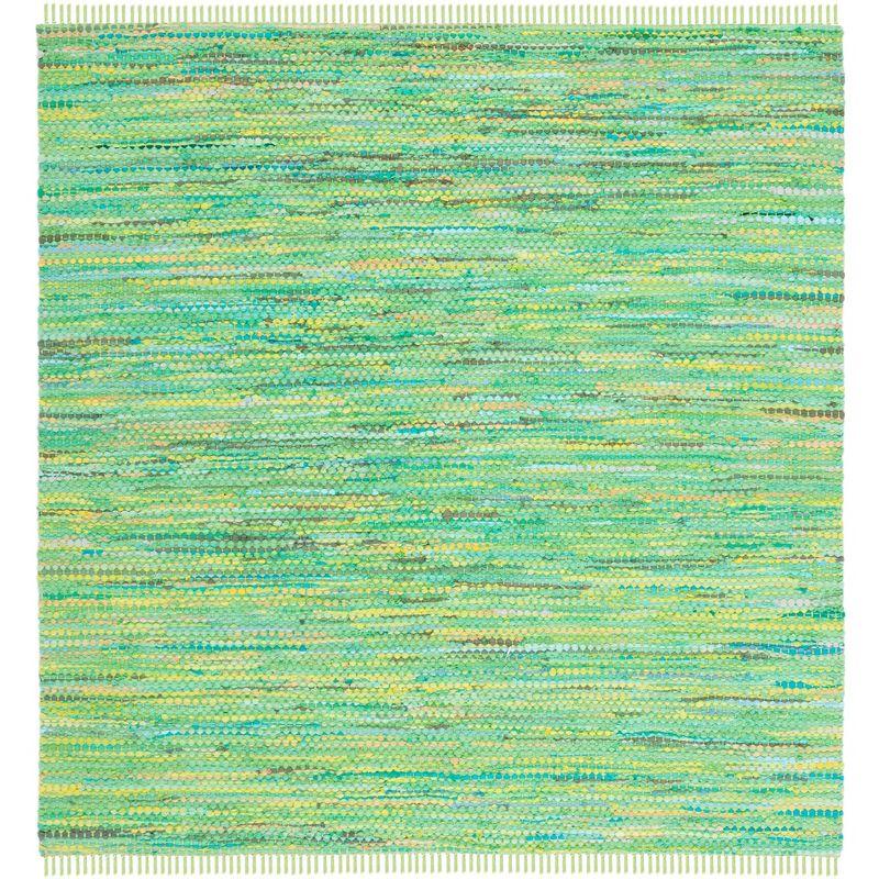Montauk MTK251 Hand Woven, Flat Weave Indoor Area Rug - Green - 6'x6' - Safavieh