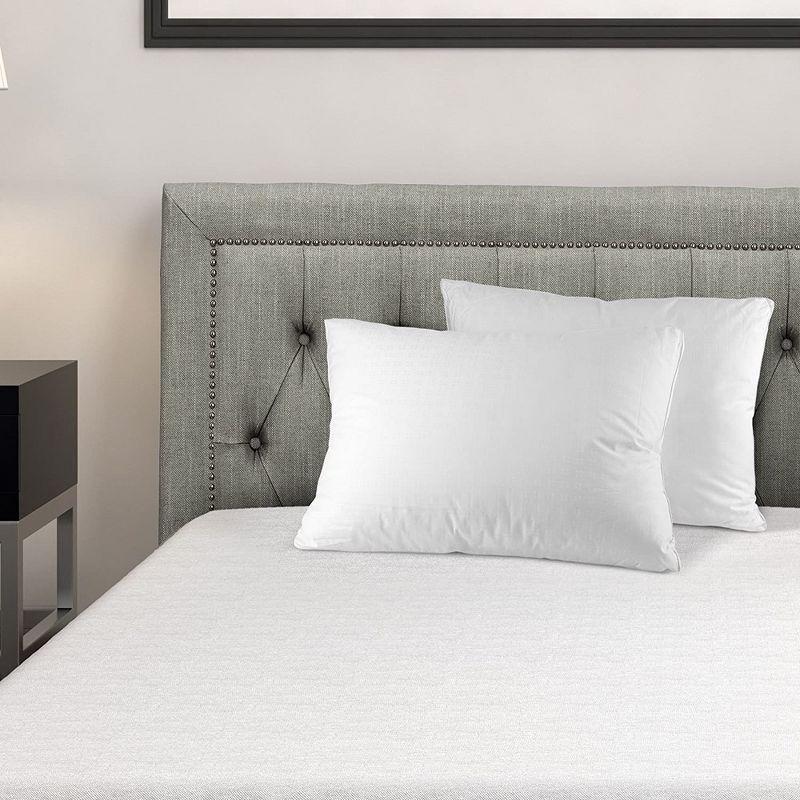 Morningstar Pillow - Queen (2 pack) VP