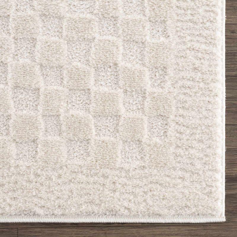 Hauteloom Leryn Black & White Checkered Area Rug