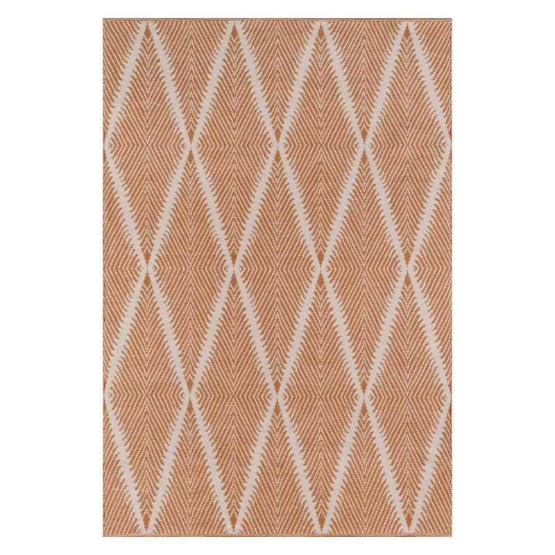 River Geometric Indoor / Outdoor Rug