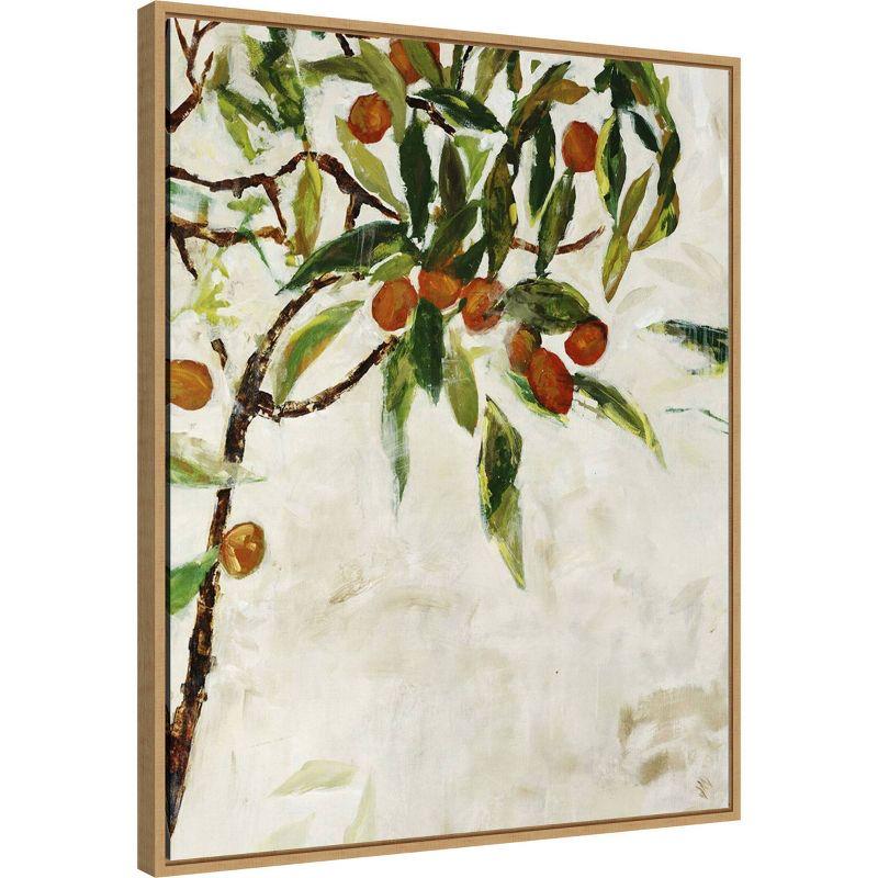 23" x 28" Kumquat Tree by Jodi Maas Framed Canvas Wall Art Print - Amanti Art: Large Lithograph, Modern Kitchen Decor