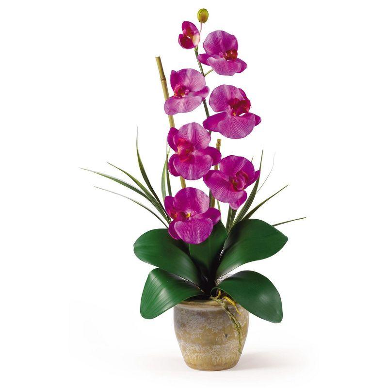 Nearly Natural Phalaenopsis Silk Orchid Flower Arrangement, Dark Pink